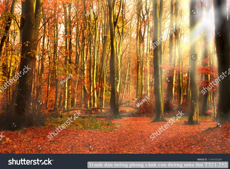 Tranh dán tường phong cảnh hồ thác, cây cối T321-462